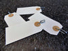 Clip-on Tags